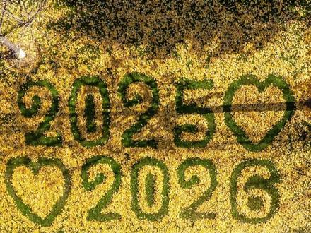 落叶成诗,是城市最暖的注脚,最美南京! 南京的落叶,也能在环卫工人的手下变成最美打卡点。这个画面的作文,可以这样写····#南京落叶 #作文 #写作 #作文素材 #小桔灯