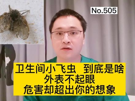 卫生间小飞虫是什么,什么危害?外表不起眼,危害超乎想象 #医学科普 #健康 #涨知识 #蛾蠓 #蛾蠓怎么消灭