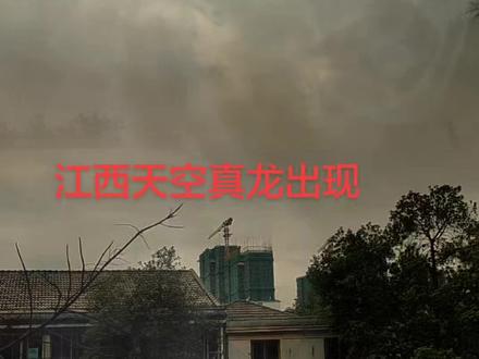 江西真龙天空绕,好日子有祥兆!