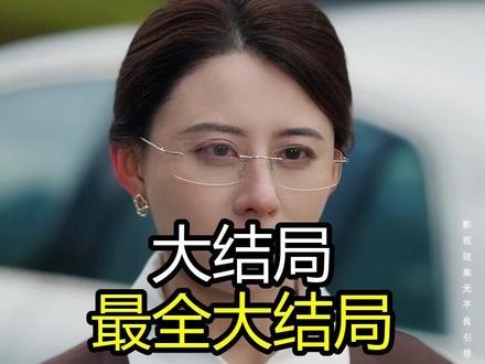 《稽查风暴》精彩后续大结局,完整版