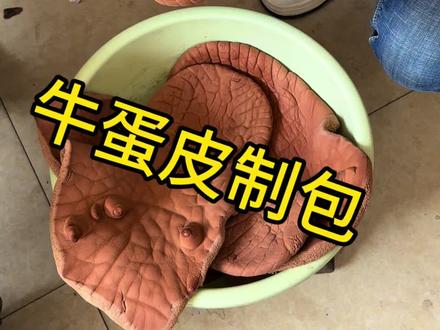 牛蛋能吃!它的皮还能制包#手艺人