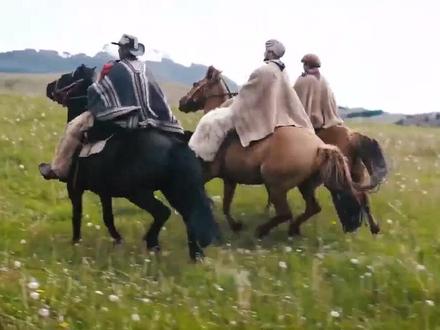 高乔人(Gauchos),是南美潘帕斯草原、格兰查科和巴塔哥尼亚高原草原的牛仔牧民。分布在阿根廷、智利南部、巴西南部、乌拉圭、巴拉圭,是印第安人和西班牙人混血人种,讲西班牙语信天主教,保留较多印第安文化传统。
高乔人是南美洲的牛仔,擅长马上生活及放牧,英勇强悍,曾在拉美独立战争中扮演重要角色。高乔文化在南美得到高度赞誉,成为阿根廷和乌拉圭的民族象征。
#高乔 #高乔人 #少数民族 #牛仔 #南美