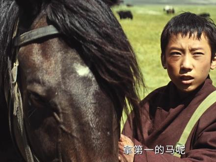 #生命树 #看少年驰骋 #天峻草原 跟着生命树走进圣湖之源净土天峻