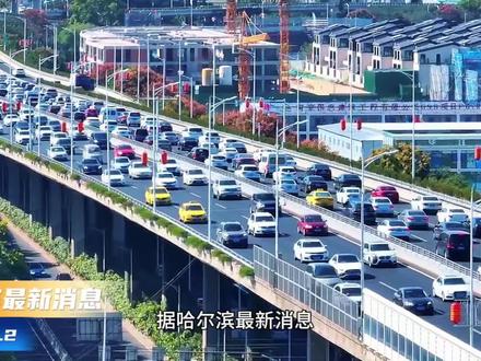 确定了,哈尔滨非遗千灯会,官宣2🈷️10启正式开园#哈尔滨非遗千灯会 #春节去哪玩 #新春遛娃好去处 #新春灯会 #vlog十亿流量扶持计划