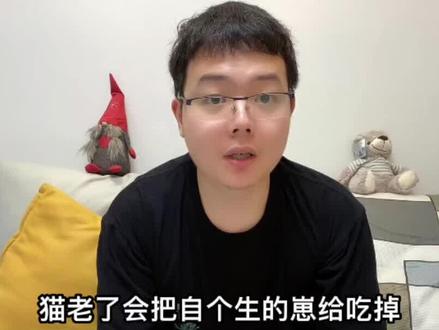 为什么猫老了要吃自己的孩子呢?