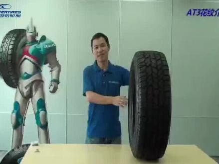 固铂AT3 介绍