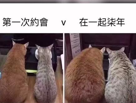 夫妻同心,三百多斤。#我要上热门