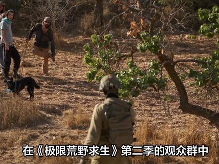 不是吧,这才决赛第10天,林北和文车车都退赛了!!!