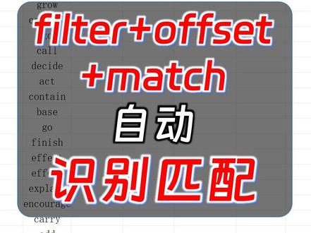 filter+match自动识别匹配 #filter函数 #match函数 #wps #excel函数