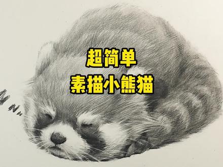 教你画一只糯糯的素描小熊猫,超简单#素描 #素描动物