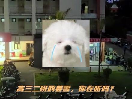 我们无法同时拥有青春和对青春的感受#青春#感动#泪目