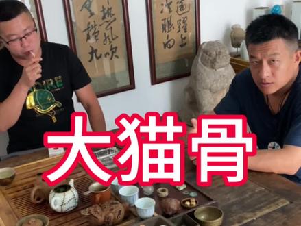 论如何鉴定大猫骨。