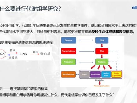 洁美生物~提供代谢组学技术服务#科研 #医学博士 #博士 #医学科研 #医学研究生