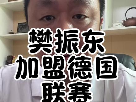 #樊振东加盟德甲联赛 意味着什么? #热点 #个人观点