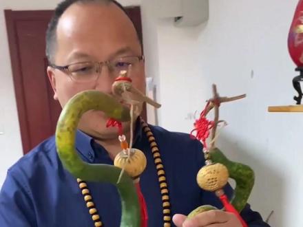 今年鹤首成品率很低,今年就成了这俩!我们中国台湾省的品种,喜欢的亲们点赞分享出去!#鹤首葫芦