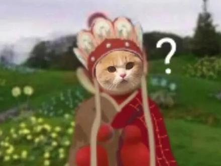 500块就能拥有一把HHKB TypeS键盘 #机械键盘 #客制化键盘 #键盘 #客制化 #hhkb