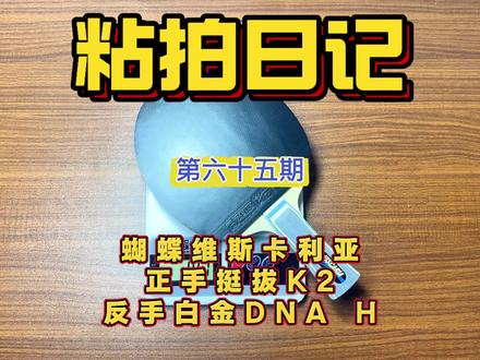 底板:蝴蝶VIS 正手:挺拔K2 反手:白金DNA H 来源:【粉丝投稿】#乒乓球拍#乒乓#蝴蝶vis#乒乓球拍搭配@DOU+小助手