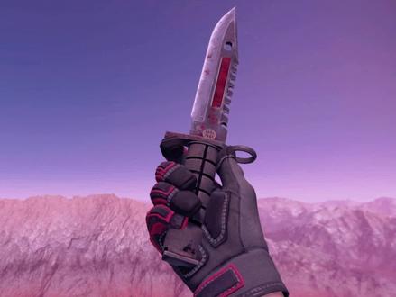 如果是你的话,这两把怎么选择呢#csgo #csgo皮肤#csgo日常 #csgo饰品展示