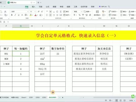 表格答疑48——学会自定义格式 快速录入信息1 #excel教程 #wps表格技巧 #快速录入信息
