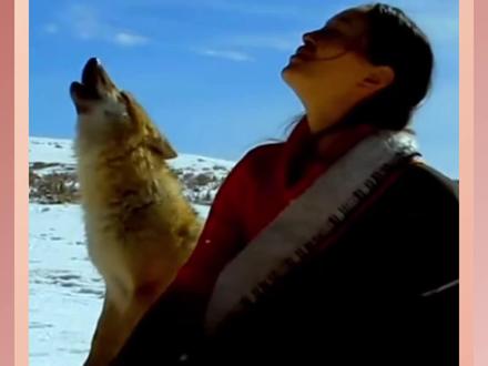 我讨厌人类,但我爱妈妈 #重返狼群 #狼王格林 #纪录片 #李微漪 #纪录片