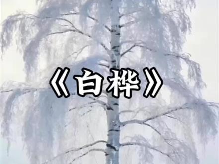 四下 语文课文《白桦》 #四年级下册语文 #寒假预习 #新课本
