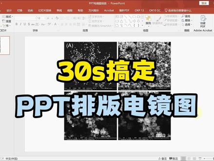 30s搞定PPT排版电镜图 🔬 电镜图不会拼?30秒教你秒变科研大神!#涨知识 #电镜 #科研绘图 #实验 #排版