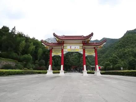#黄山市禁止松木进入 每一条规矩都有它存在的理由 #科普 #冷知识
