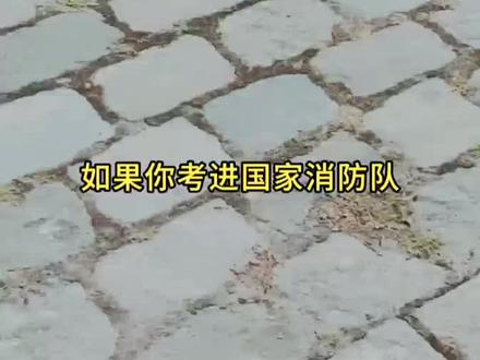 致敬消防战士,中国消防救援肩章等级,消防救援衔#涨知识 #消防