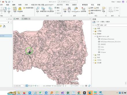 ArcGIS Pro消除工具操作详细解释