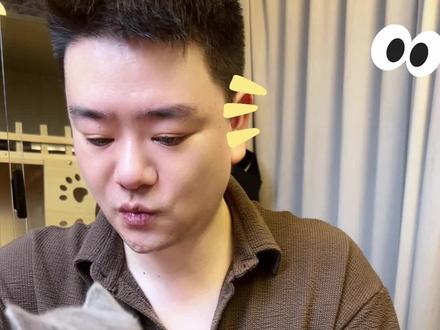 如何让猫咪听懂人话? #新手养猫 #猫咪 #小猫 #猫