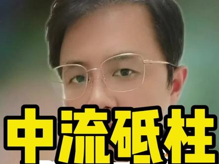 中流砥柱樊振东!#樊振东 #乒乓球