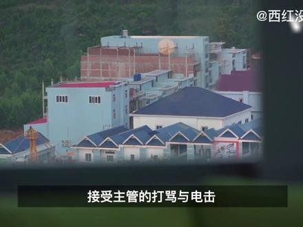 诈骗犯被捕后说的“中国人不骗中国人”,其实才是最大的诈骗 #反诈骗