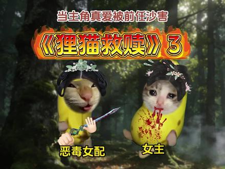 《狸猫救赎》3#猫meme #超爆小故事 #甜文 #猫meme小剧场