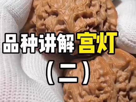 核桃品相讲解宫灯#文玩核桃 #文玩 #沉浸式 #vlog十亿流量扶持计划 #文玩人 #今日热点