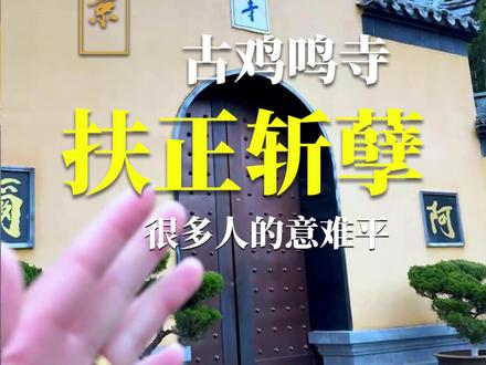 南京鸡鸣寺 很多人来#南京 都想去#鸡鸣寺 走走 除了扶正缘,斩孽缘 很多时候,这里成了大家来南京的一种回忆,一种意难平。相爱时难,别,亦难#抖音热点记忆2025 #我的旅行日记