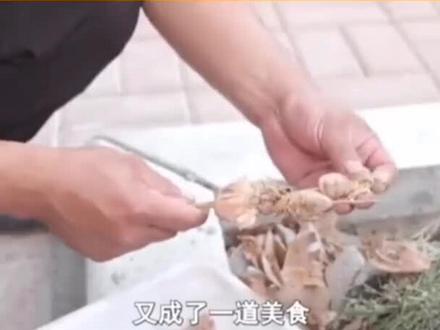 黑暗料理之东北烤蛾子#黑暗料理