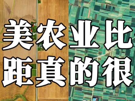 中美农业差异,在太空中都肉眼可见(2)
这期我们深入分析了美国大平原农业和我国精耕细作的农业差异,希望大家可以多多支持哦😊
#中国 #美国 #农业 #比较 #农业种植