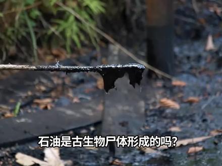 第1集 | 石油真的会枯竭吗?有机成油学说是怎么一回事?为什么中东地区石油储量丰富? #石油 #中东