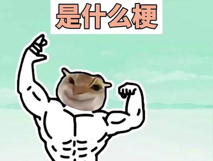 鼠鼠的幻想是什么梗? #鼠鼠的幻想 #猫meme #表情包 #鼠鼠 #梗