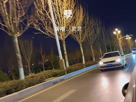 初听是旋律,再听是人间痴狂#孽#翻唱#音乐分享