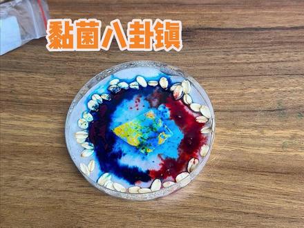 摆了个八卦阵,看看黏菌怎么破局#黏菌 #玩个很新的东西