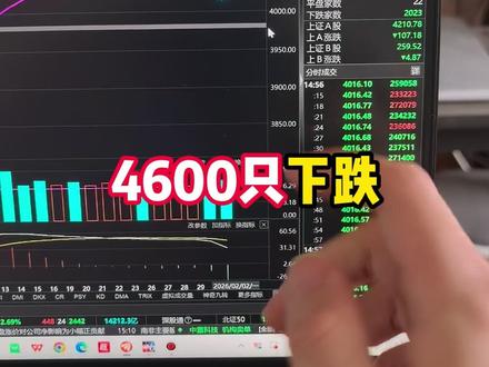 砸完权重砸中小盘!何时止跌,你看懂了吗? A股4600只个股下跌,太惨了 #A股 #ETF #财经 #大盘 #股民