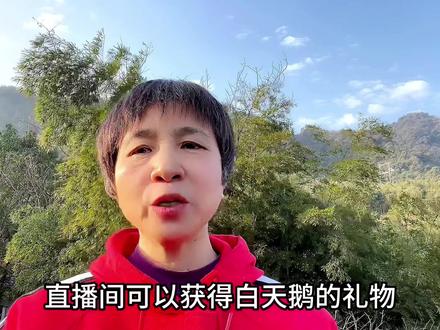 天鹅之梦是新主播专属礼物,拿到则不是梦,没拿到则是长长的梦#每天分享一点 #干货分享 #新人首播 #经验分享 #抖音创业 #短视频变现