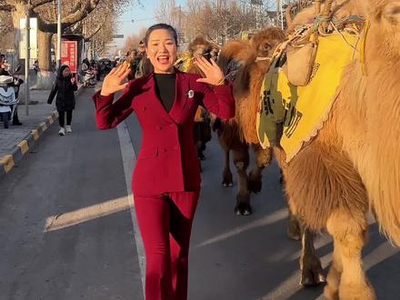 #东天山的骆驼队 #我为家乡代言 #骆驼 @愛淳化 驼行千里赴淳化 丝路精神永流传