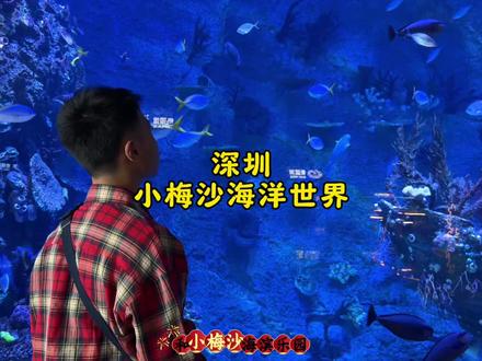 春节假期,深圳小梅沙一张票玩两个园!海洋馆看舞狮,沙滩逛花海,太值了#在小梅沙过深圳年 #深圳春节海边遛娃撒欢指南 #深圳春节醒狮还能这么玩#深圳春节绝美海边花展打卡#在海洋馆偶遇英歌舞小时迁