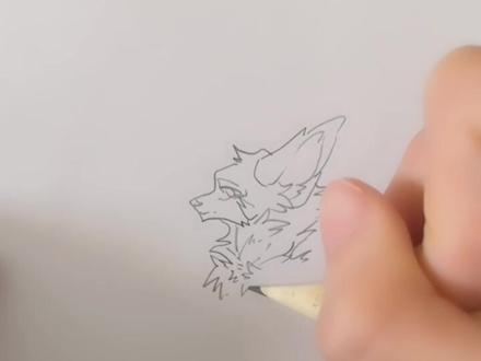 只是一个画狼头的教程?(不好见谅?)