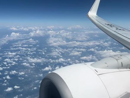 兑换机票前,这件事别忘了
#旅行 #飞行 #航空