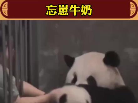 喝了奶忘了崽!#娱乐评论大赏 #搞笑