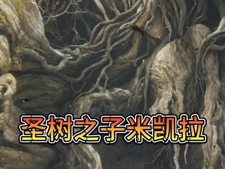 圣树之子米凯拉。#艾尔登法环 #米凯拉 #盘点