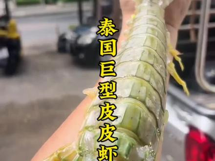 超低温速冻泰国巨型皮皮虾超大虾姑海鲜上海发货包邮富贵虾#海鲜美食 #海鲜盛宴 #特色食材 #异国美食体验 #食材新鲜才是硬道理